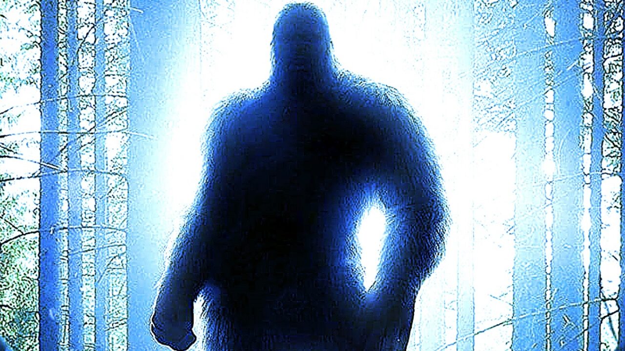 https://www.joblo.com/wp-content/uploads/2021/09/that-bigfoot-show-paranormal-featured-1280x720.jpg