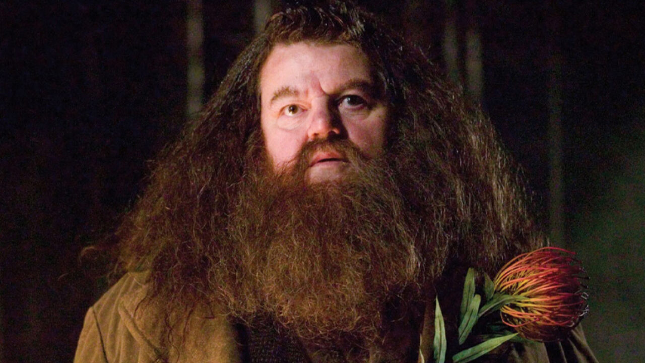 In memory of Robbie Coltrane. Here's my old Hagrid Cosplay : r/cosplay