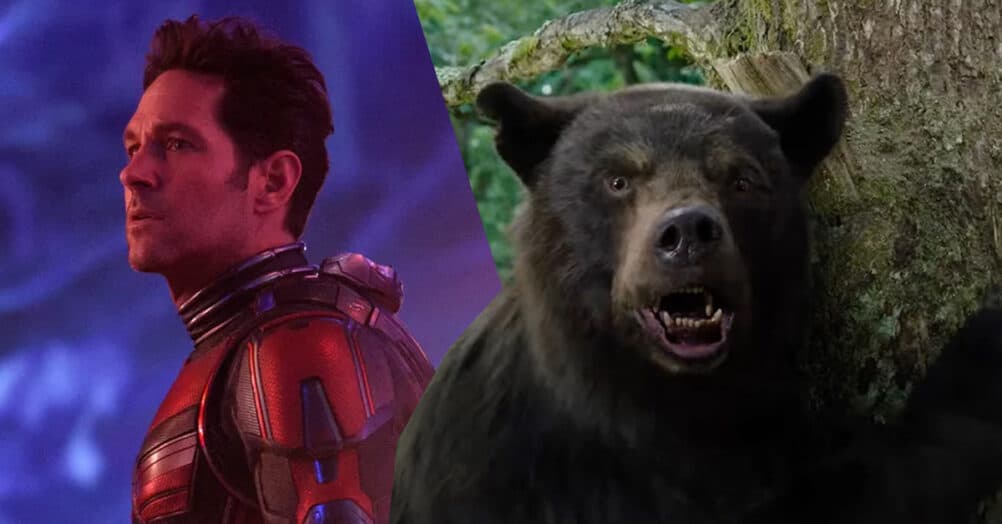 ant man 2 grizzly