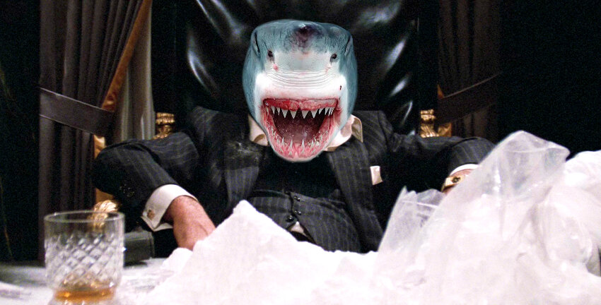 Cocaine Shark