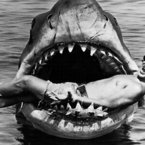 Jaws @ 50 isn't the only Jaws documentary we're getting next year; Jaws: Making a Splash in Hollywood is also on the way
