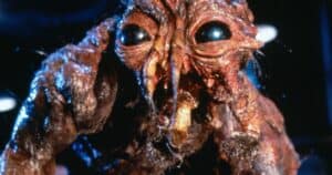 The WTF Happened to This Adaptation series looks at both the 1958 and 1986 adaptations of George Langelaan's The Fly