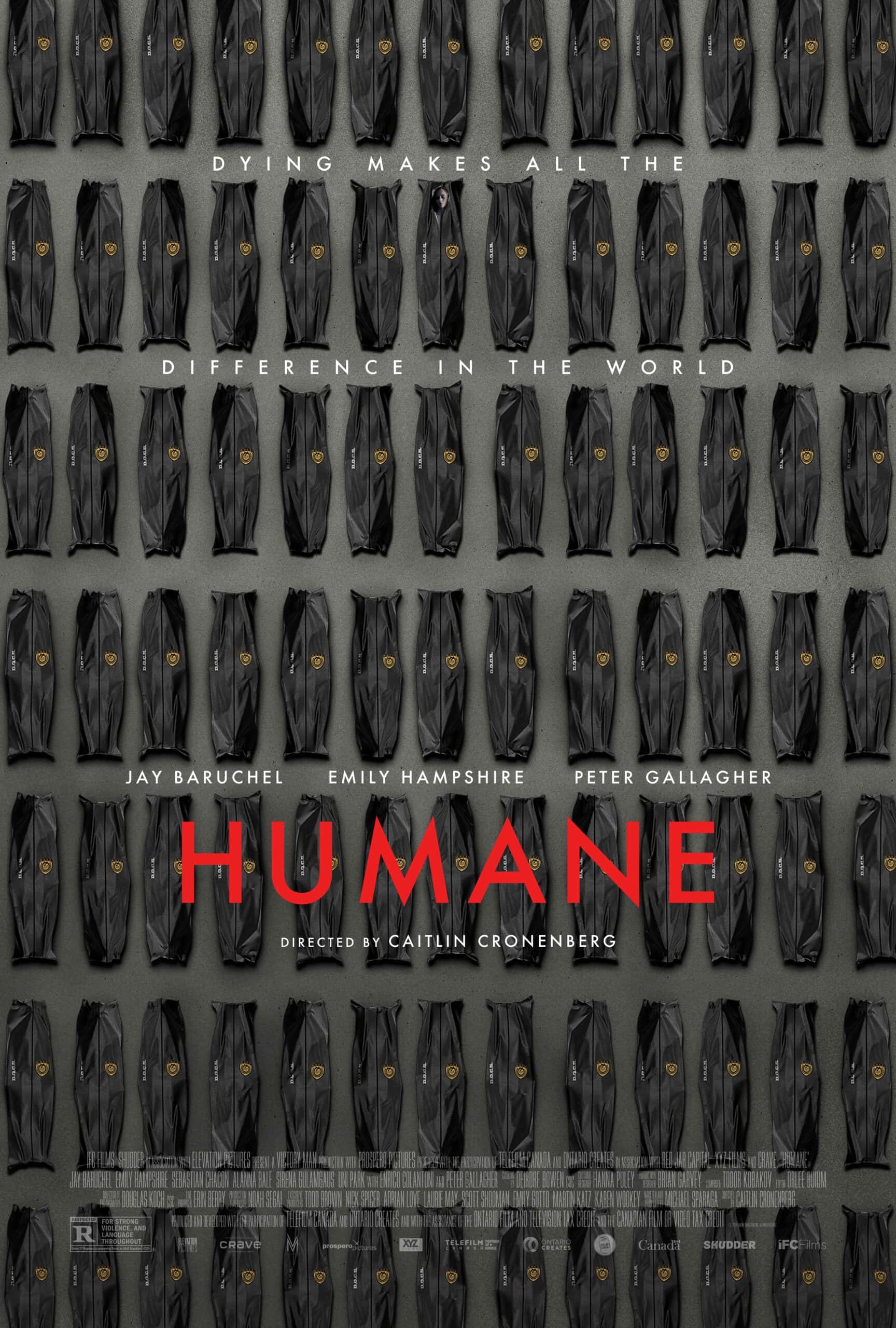 Humane 2024