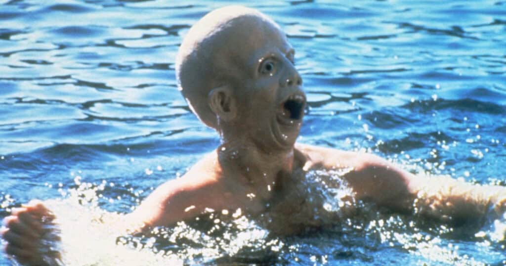 ari lehman