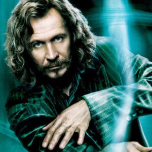 Gary Oldman, Sirius Black, Harry Potter