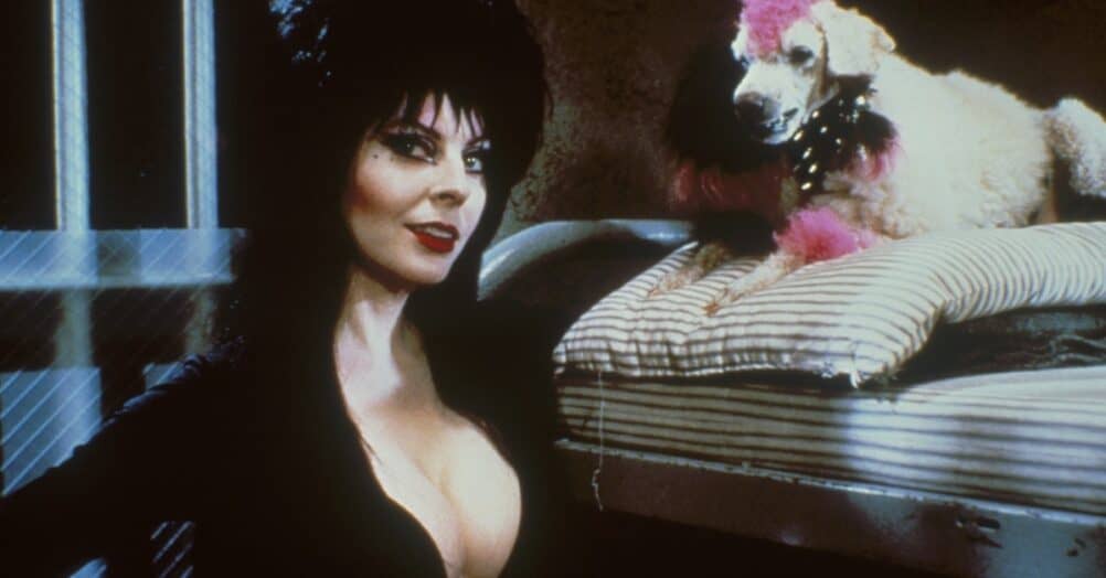 elvira, mistress of the dark, blu-ray