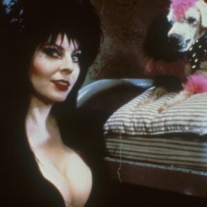 elvira, mistress of the dark, blu-ray