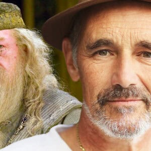 Mark Rylance, Dumbledore, Harry Potter TV series