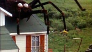 The rights to the 1975 creature feature The Giant Spider Invasion (including sequel and remake rights) are going up for auction