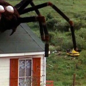 The rights to the 1975 creature feature The Giant Spider Invasion (including sequel and remake rights) are going up for auction