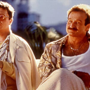 Nathan Lane, Robbins Williams, The Birdcage