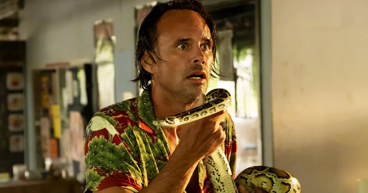 Walton Goggins was bitten by a snake on the set of The White Lotus: “Am I dying a slow death?”